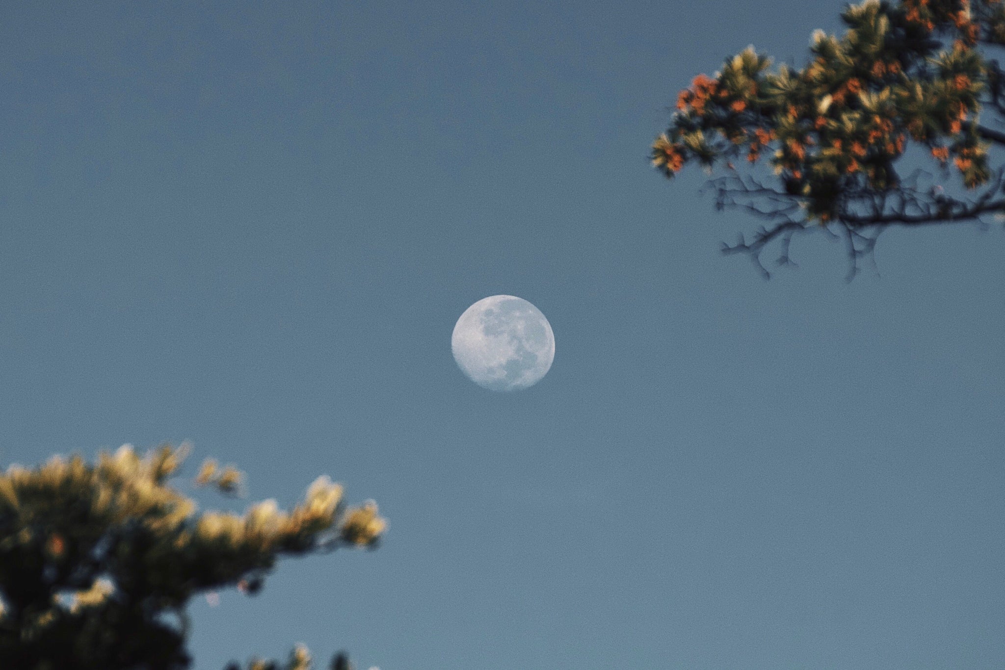 Meditation & The Moon: The Beginner’s Guide to Lunar Self-Care