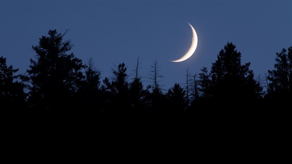 Moon Phase 101: A Complete Guide to the Waxing Crescent