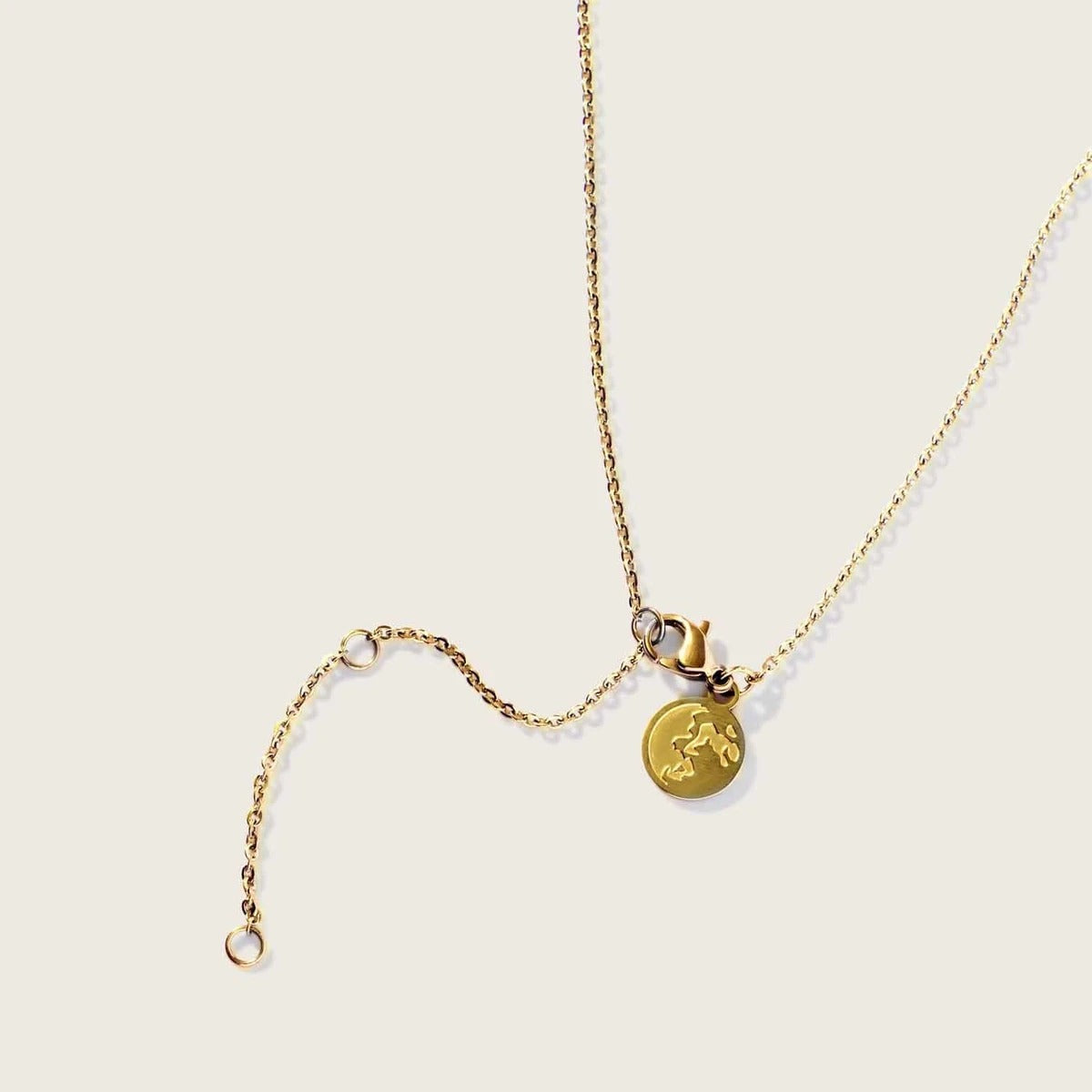 Sole Necklace in Gold