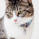 moonglow pet tag in stainless steel