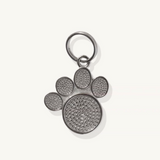 moonglow pet tag in stainless steel