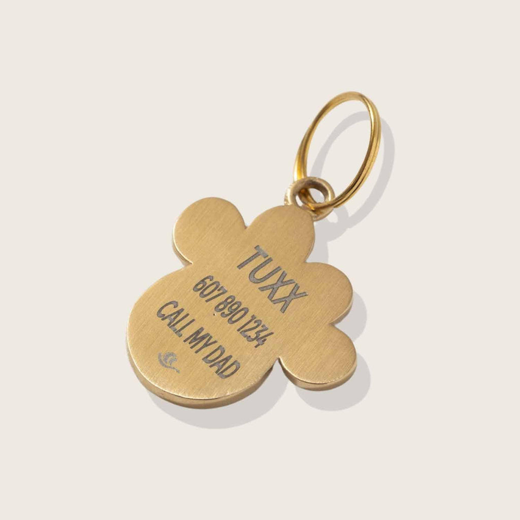 Moonglow Pet Tag in Gold