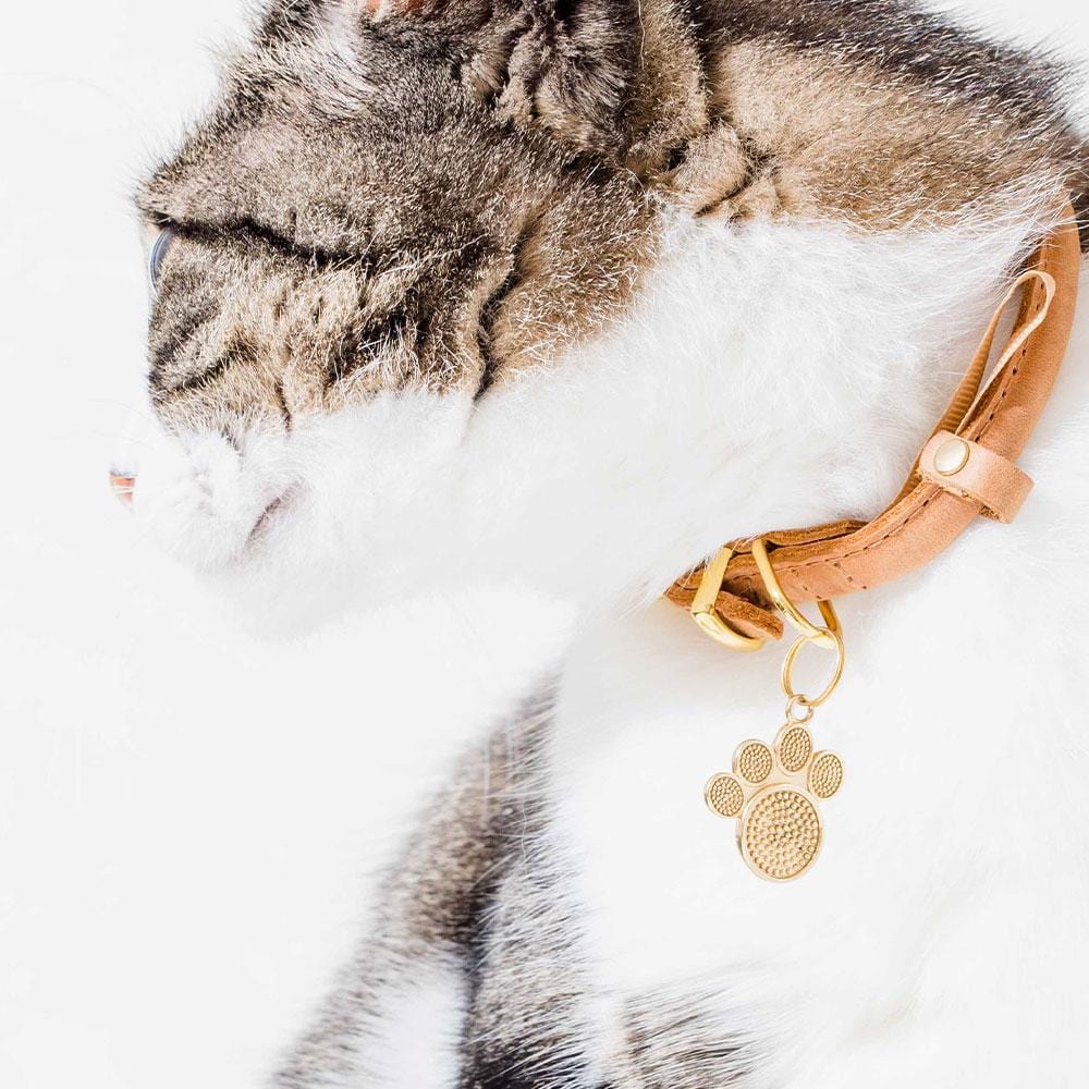 Moonglow Pet Tag in Gold